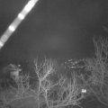 Webcam_20230210-054500