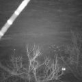 Webcam_20230212-064500