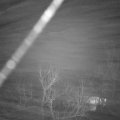 Webcam_20230215-053000