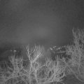 Webcam_20230224-051500