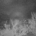Webcam_20230226-060000