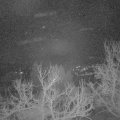 Webcam_20230303-051500
