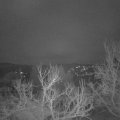 Webcam_20230304-061500