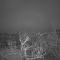 Webcam_20230307-060000
