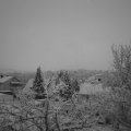 Webcam_20230308-063000