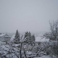 Webcam_20230308-103000