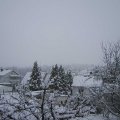 Webcam_20230308-110000
