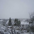 Webcam_20230308-113000