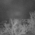 Webcam_20230310-053000