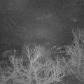 Webcam_20230312-051500