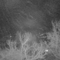 Webcam_20230315-050000