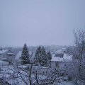Webcam_20230315-080000