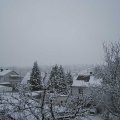 Webcam_20230315-101500