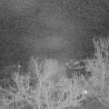 Webcam_20230325-051500