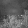 Webcam_20230420-051500