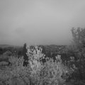 Webcam_20230510-051500