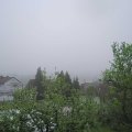 Webcam_20230511-083000