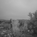 Webcam_20230801-054500