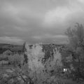 Webcam_20230803-053000