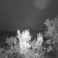 Webcam_20230807-051500