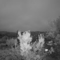 Webcam_20230807-053000