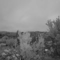Webcam_20230807-054500