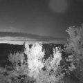 Webcam_20230819-051500