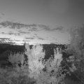 Webcam_20230820-053000