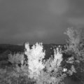 Webcam_20230830-204500