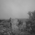 Webcam_20230901-061500
