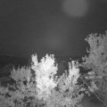 Webcam_20230903-053000