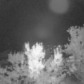 Webcam_20230903-213000