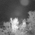 Webcam_20230903-214500