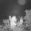 Webcam_20230904-214500
