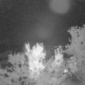 Webcam_20230905-213000