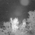 Webcam_20230905-220000