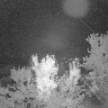 Webcam_20230906-211500