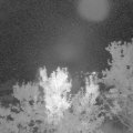 Webcam_20230906-214500