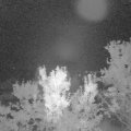 Webcam_20230906-220000