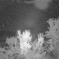 Webcam_20230908-051500