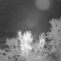 Webcam_20230908-214500