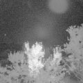 Webcam_20230909-051500
