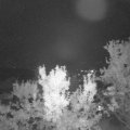 Webcam_20230912-204500