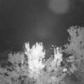 Webcam_20230913-204500