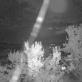 Webcam_20230918-060000