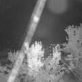 Webcam_20230918-211500