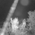 Webcam_20230918-213000