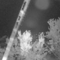 Webcam_20230918-214500