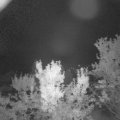 Webcam_20230919-053000