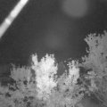 Webcam_20230919-060000